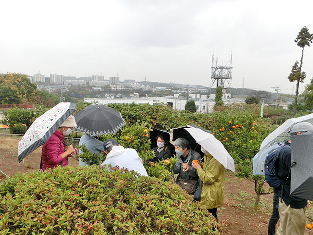 稲城の風景