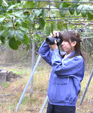 森田真樹