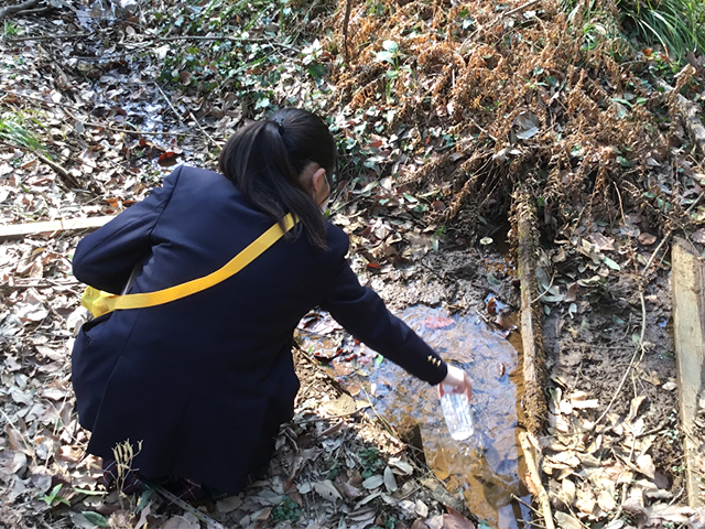 微生物がいそうな小川を発見。水を採取しました