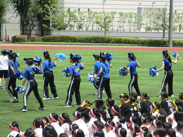 各カラーの応援合戦