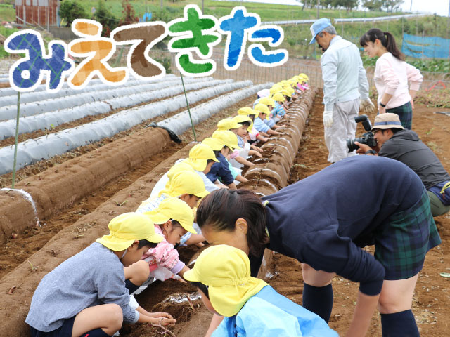 年長さんは２株も掘りました！