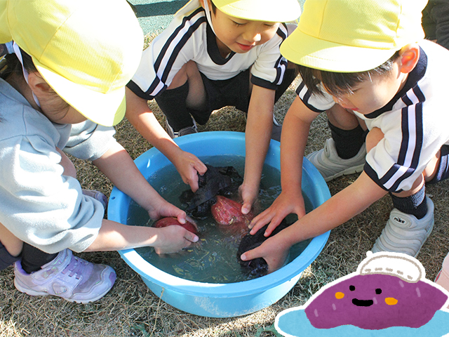 子どもたちが自分でお芋を洗います