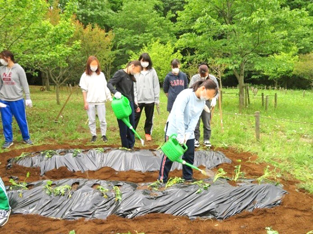 大きく、大きく、大きくなぁれ